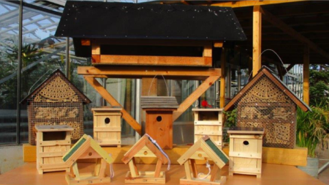 Vogelhäuschen Vogelhäuschen